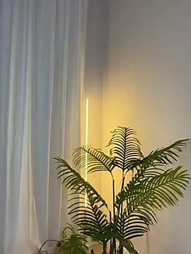 oopsie_boobsie Obrolan Langsung XXX