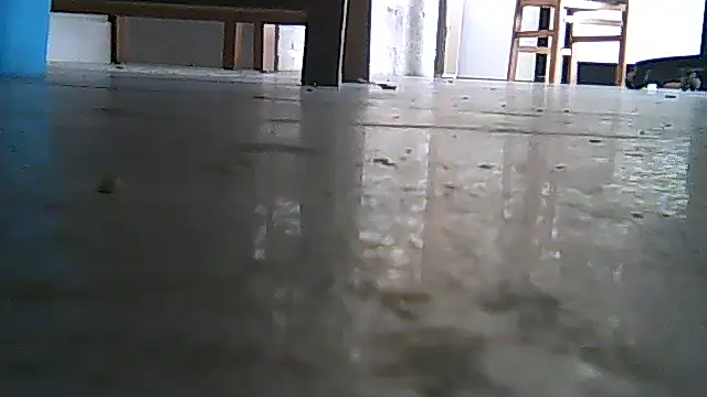 SirFrankonde webcam show