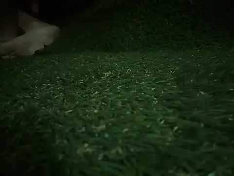 skip69xxx ওয়েবক্যাম শো