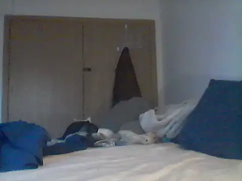 Chat +18 de Silencio26 ao vivo