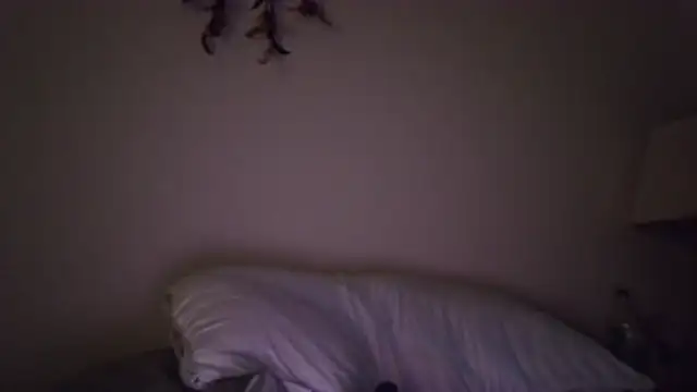 occasionalride1 Live XXX-Chat