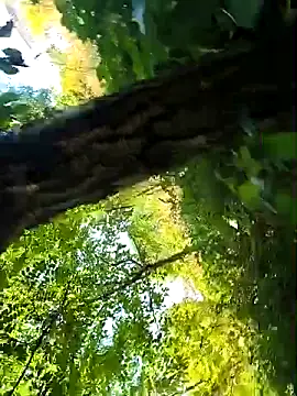 WobblySandip123 লাইভ XXX চ্যাট