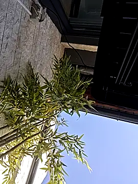 DiorMusse 现场XXX聊天