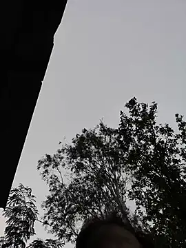 raju83737: απευθείας συνομιλία ΧΧΧ