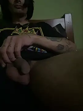 Show Webcam de chaos999