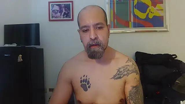 AMIRDIB2025 网络视讯表演