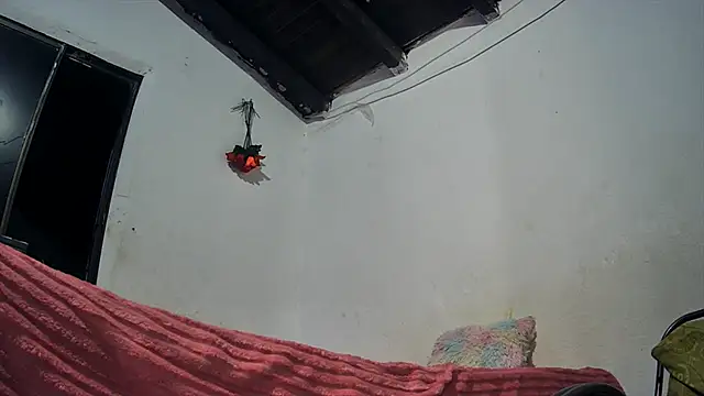 sk8-sir Chat XXX live