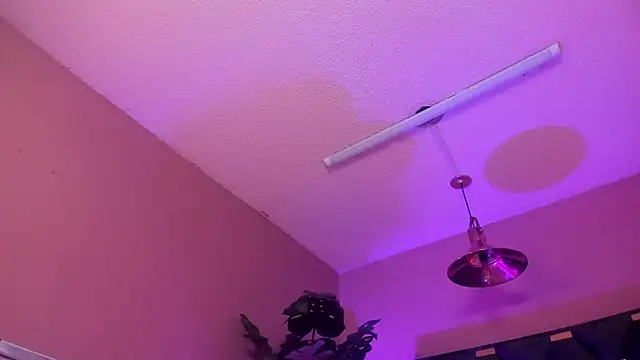 Velvet_Dreamss লাইভ XXX চ্যাট
