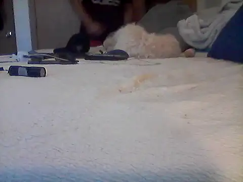 Silencio26's Live XXX Chat
