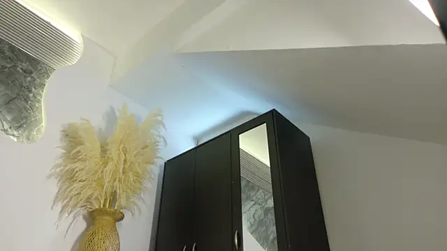 Monyel_Blaken Webbikameraesitys