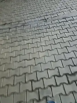 Онлайн чат XXX singalguy12