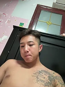 8k6660 Show Webcam