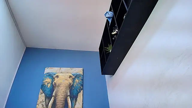 ADAM_CUMS 现场XXX聊天
