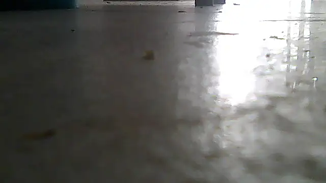 Chat XXX ao vivo de SirFrankonde