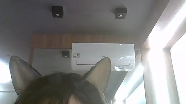 Show de webcam de SkinnyKitten