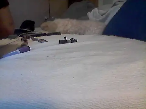 Chat +18 de Silencio26 ao vivo