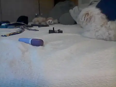 Silencio26 Live XXX-chat