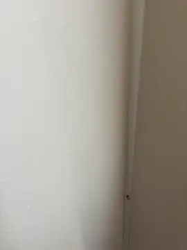 zoladj webcam show