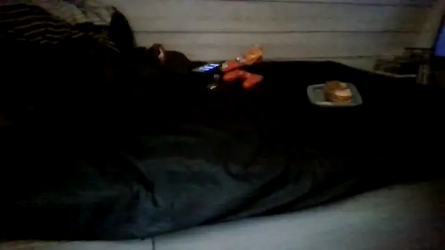 ThisGuy42o 现场XXX聊天