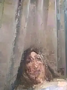 عرض كام ingishemale1