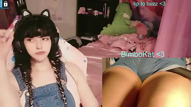 BimboCat Show in webcam
