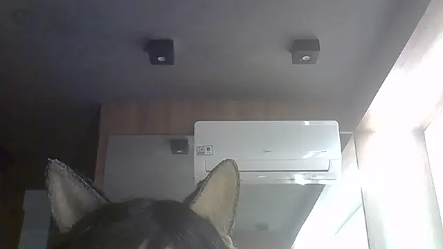 Show de webcam de SkinnyKitten