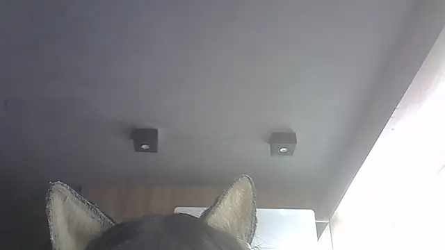 Show de SkinnyKitten na webcam