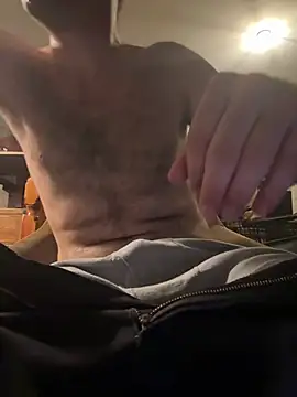 Daltoidn Webbikameraesitys