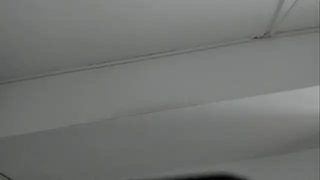 חדר צ'אט בשידור חי של TaylorBloom