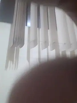doidopradar Webcam Show