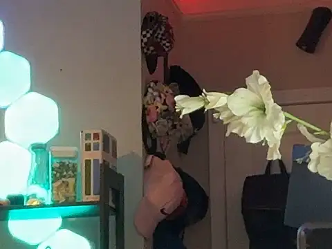 Chat XXX ao vivo de StillArQuez