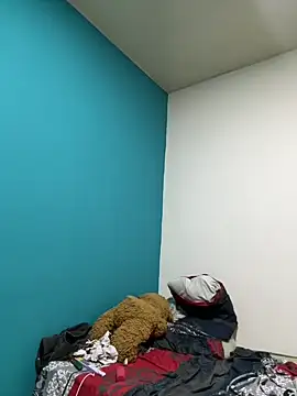 cam11_07 webkamerás műsora