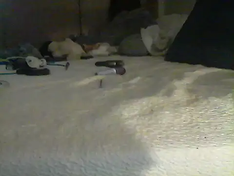 Silencio26's Webcam Show