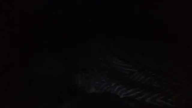 Show webcam de SHARPSkinhead