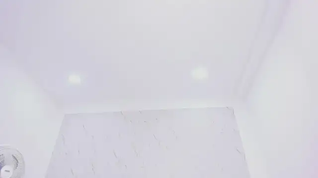 DakkotaFox 라이브 XXX 채팅