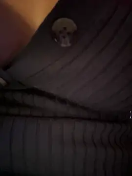 ariiel_ XXX чат на живо