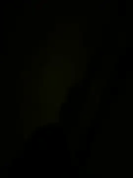 Follka Webcam-Show