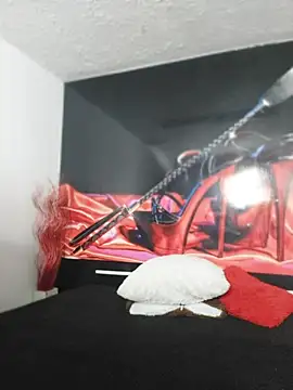 ห้องแชทสดของ Elinaax