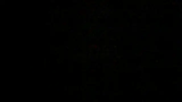 Show webcam de SirFrankonde