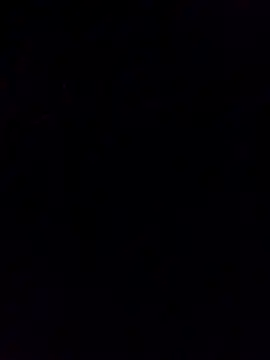 mickdick_18n Webbikameraesitys