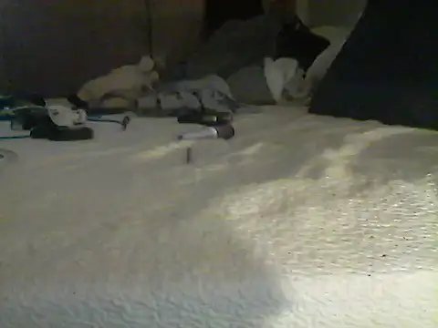 Chatroom XXX en direct de Silencio26