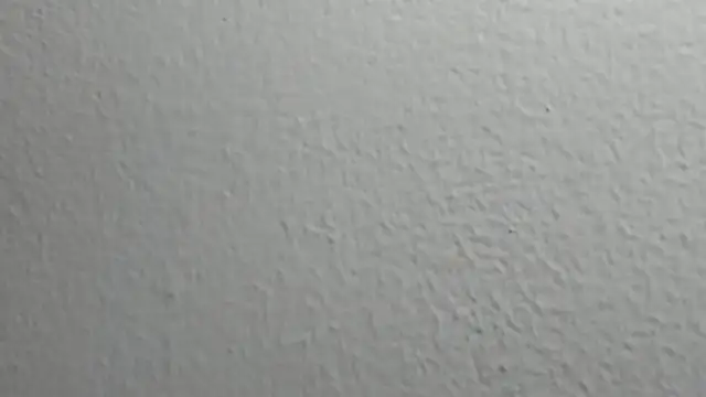 Živý XXX chat Thomas_Woolf