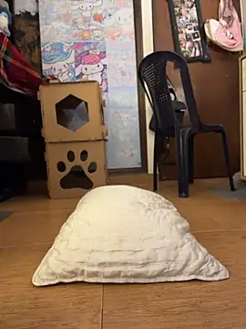 lamichigrr Live XXX-Chat