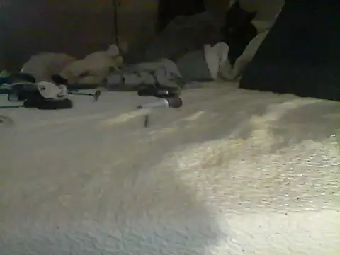Silencio26n Live XXX chat