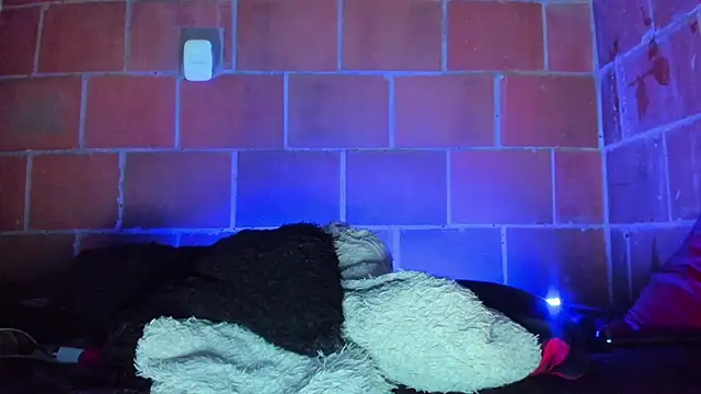 Cata-angel Chat XXX live