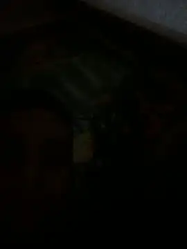 عرض كام 20cmdicazzo