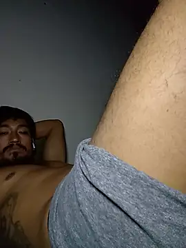 stefamholmes Live XXX-chat