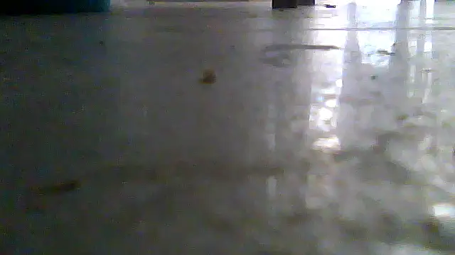 Show Webcam de SirFrankonde