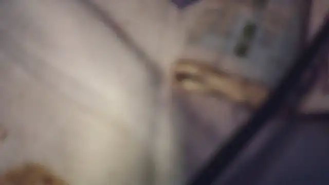 Fariana01 Live XXX-chat