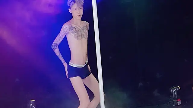 NDN-6666 웹캠 쇼